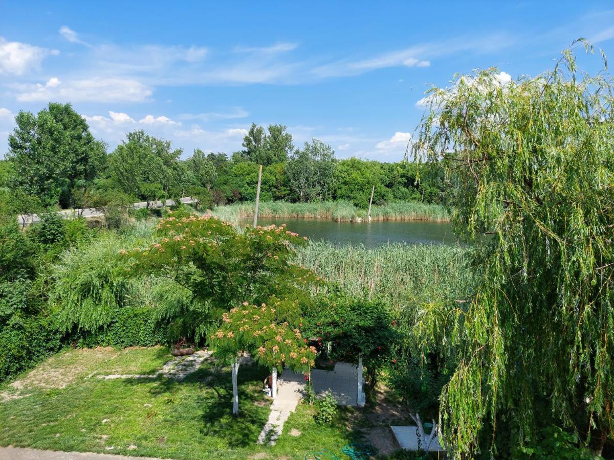 Vila De Pe Lac Amara Kültér fotó